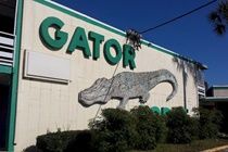 Gator Lodge Джексонвілл Екстер'єр фото